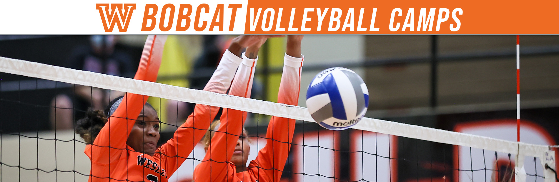 Bobcat Volleyball Camps  at West Virginia Wesleyan College